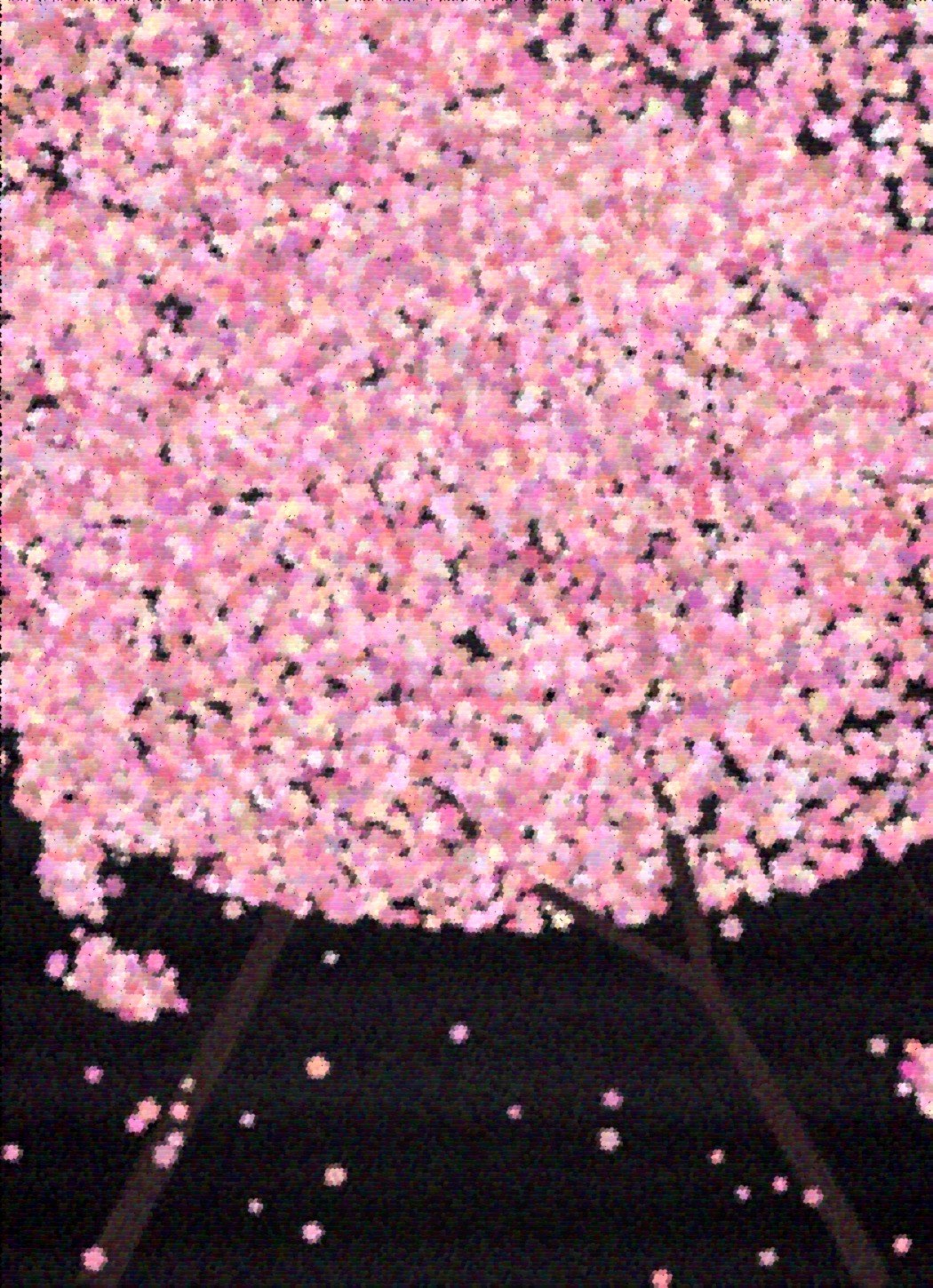 Sakura art rug